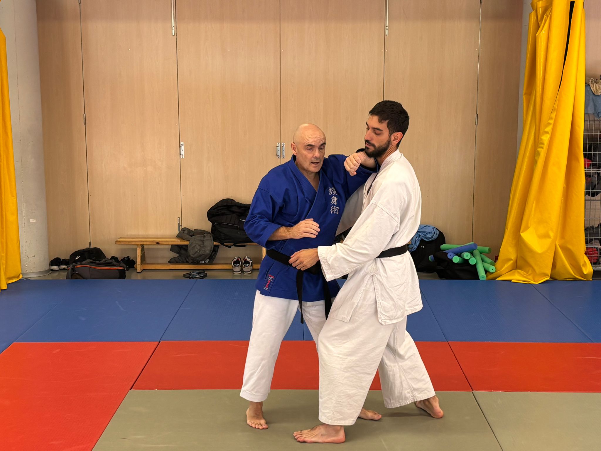 Celebrado el 2º curso de Goshin-autodefensa